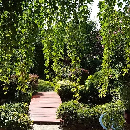Vendégház Panoráma Panzió